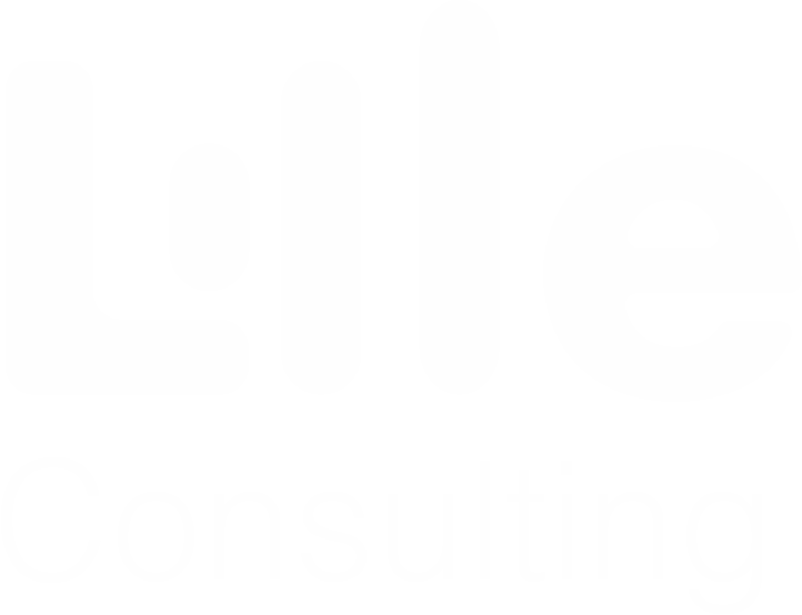 Lille consulting  Power BI & Data Analytics